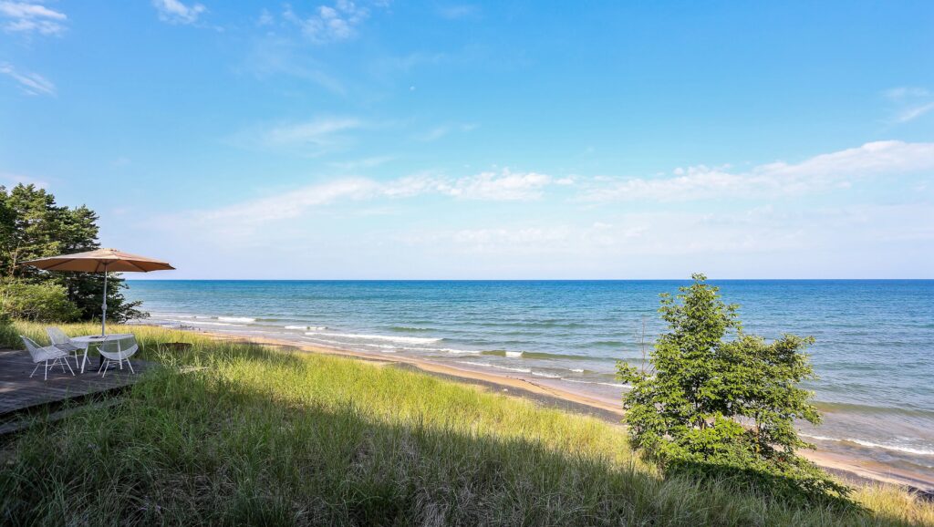 photo of lake shore at summer