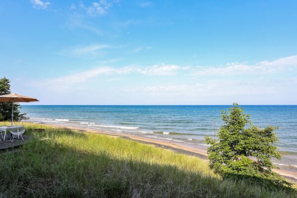 photo of lake shore at summer